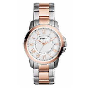 Watch strap Fossil FS4967 Stainless steel Multicolor 20mm